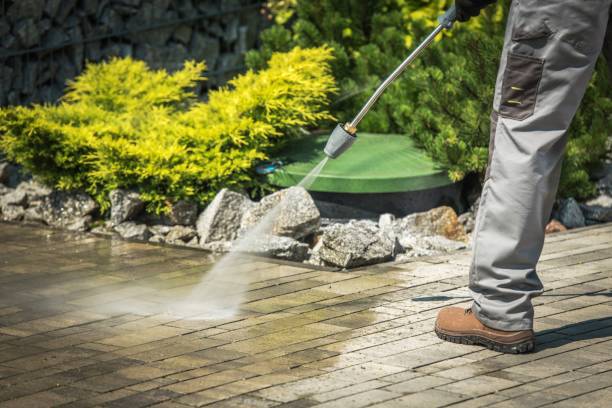 Best Solar Panel Cleaning  in Mount Arlington, NJ