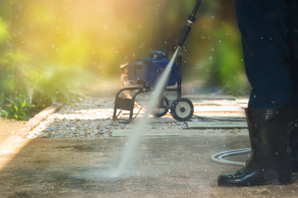 Best Driveway Pressure Washing  in Mount Arlington, NJ